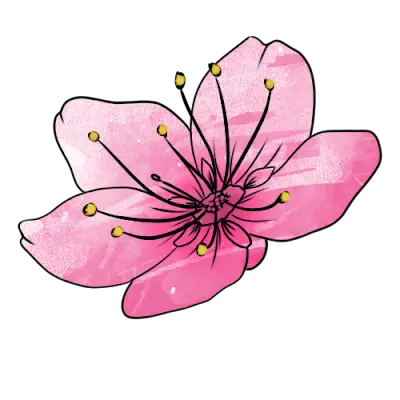 24 Stunden Pflege & Betreuung zuhause | Cura Optima Gmbh Mönchengladbach