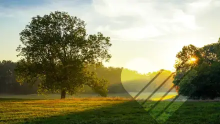 Foto von aidura GmbH - Intensivpflege Büro/Verwaltung