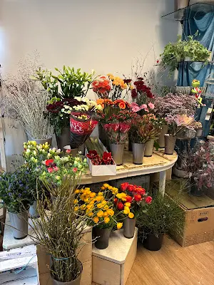 Foto von Alpha Service