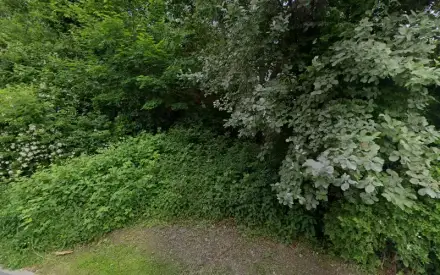 Foto von Alpha-Team Häusliche Alten- und Krankenpflege GmbH