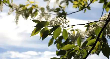 Foto von Ambulante Intensivpflege Beril