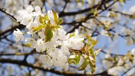 Foto von Ambulante Pflege Janine Niepel