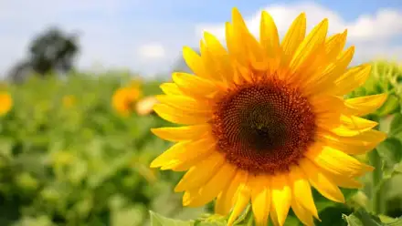 Foto von Ambulanter Pflegedienst Annett Götz GmbH