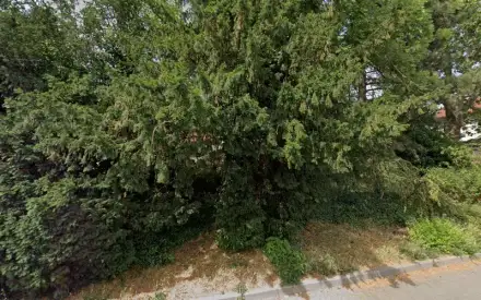 Ambulanter Pflegedienst PflegeEngel UG (haftungsbeschränkt)