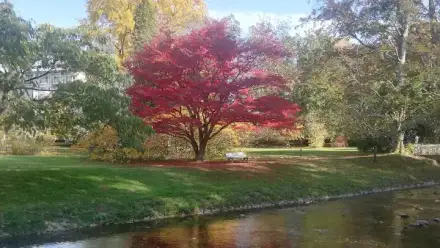 Foto von Ambulanter Pflegedienst und Pflegeberatung Apmeda