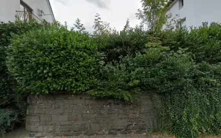 Foto von Ambulanter Pflegedienst Walter GmbH