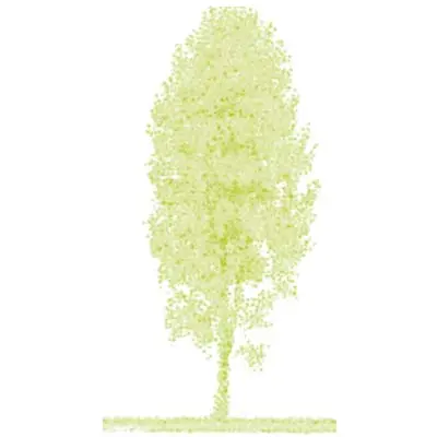 Foto von APP Alternativer Patientorientierte Pflegedienst GbR