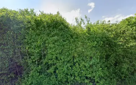 Foto von AquisCura GmbH