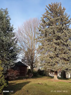 Foto von ASB Sozialstation Chemnitz