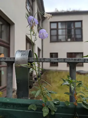 Foto von AWO Göttingen gGmbH Trialog Tagesstätte