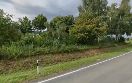 Foto von Betreuungs-Pflegedienst Schutzengel | Zierenberg