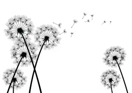 Foto von Betreuungsdienste Girke