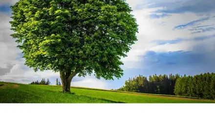 Foto von Buchmann Pflegevermittlung - Betreuung zuhause