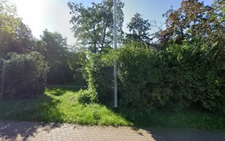 Foto von Burghof - ambulante Pflege- dienste gemeinnützige GmbH