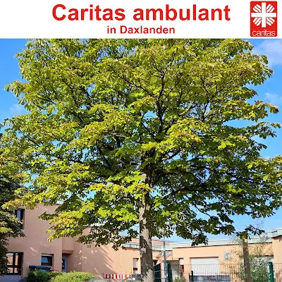 Foto von Caritas ambulant Karlsruhe