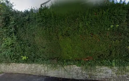 Foto von Caritas-Pflegestation Lindlar