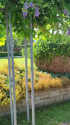 Foto von Caritas-Sozialstation für den südlichen Landkreis Oberallgäu e.v. Krankenpflege