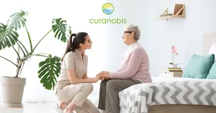 Foto von curanobis 24 UG