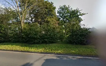 Foto von Deutsches Rotes Kreuz Pflegedienst Flensburg gGmbH