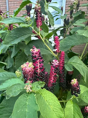 Foto von Diakoniestation Essen-Frohnhausen