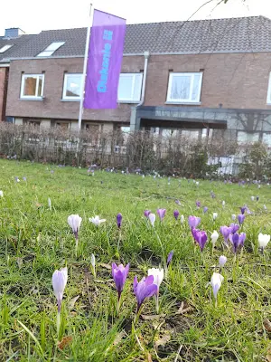 Foto von Diakonisches Werk Altholstein GmbH