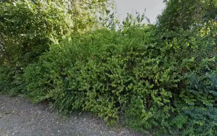 Foto von DRK Soziale Dienste Baden-Baden gGmbH