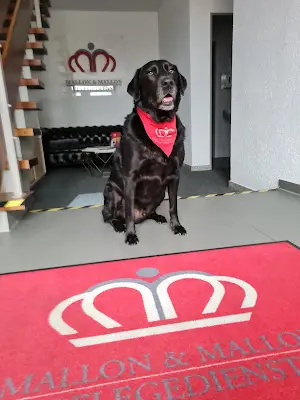 Foto von DVS Pflegedienst Schwalmtal GmbH