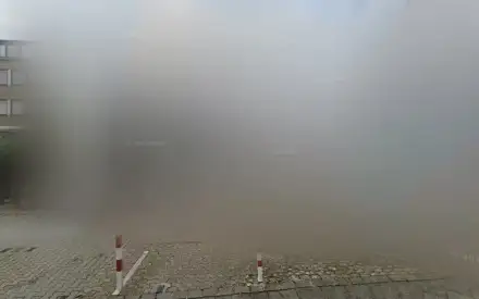 Foto von Elite Pflege GmbH (Tagespflege in Düsseldorf)