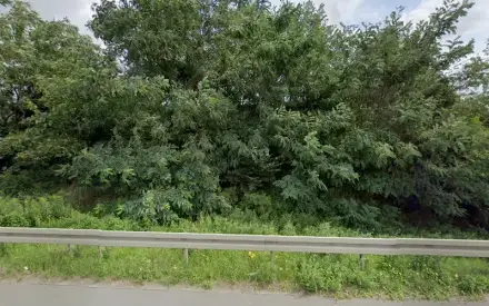 Foto von Freiberufliche Kinderkrankenschwester Daniela Rost