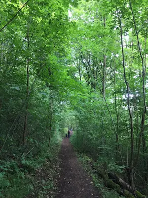 Foto von Freiberufliche Pflegefachkraft für Ambulante Intensiv Pflege