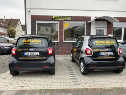 Foto von GELBE BLUME CIS UG