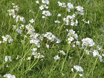 Foto von Hanseatic Pflegedienst GmbH