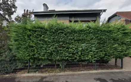 Foto von Haushaltshilfe am Niederrhein