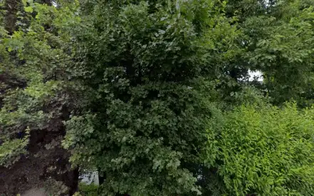 Foto von Helfende Hände - Ambulanter Pflegedienst im DRK