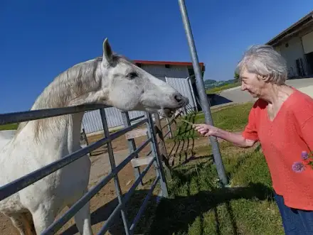 Foto von Home Care-Pflege Zuhause GmbH