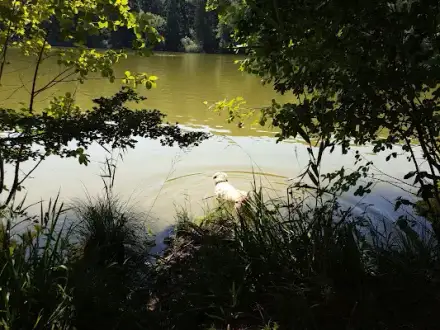 Foto von Home Instead (Landkreis Starnberg/Fünfseenland)