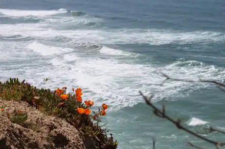 Foto von immerda - AMBULANTE INTENSIVPFLEGE Oldenburg
