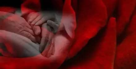 Foto von Intensiv-Pflege Rosabel GmbH