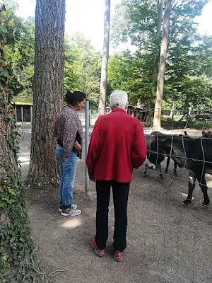 Foto von Kother Mobile Seniorenhilfe