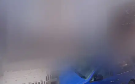 Foto von Lebensbaum Häusliche Krankenpflege