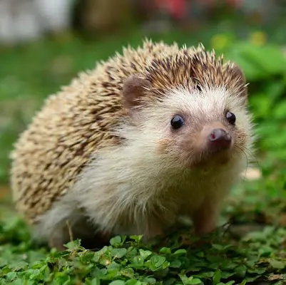 Foto von LeviMed Tagespflege "Zum Oberntor"