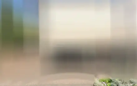 Foto von Lumina Pflegedienst GmbH