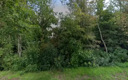 Foto von Lutherhof Seniorenpflegeheim