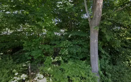 Foto von MobilBegleitung