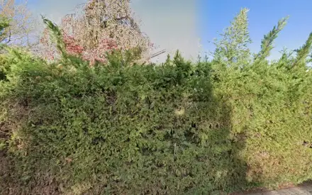 Foto von NM Rehabilitation- und Pflegepark GmbH