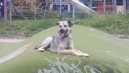 Foto von Organisierte Nachbarschaftshilfe