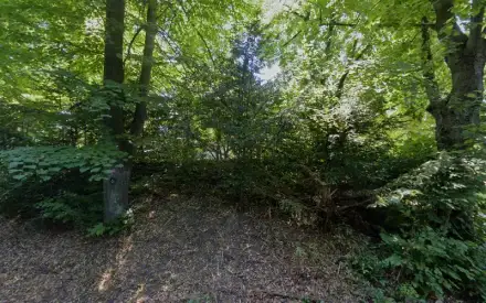 Foto von Pflegedienst Kube GmbH