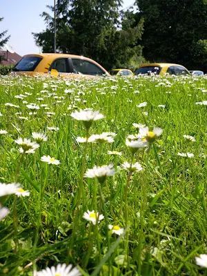 Foto von Pflegedienst Strobel GmbH