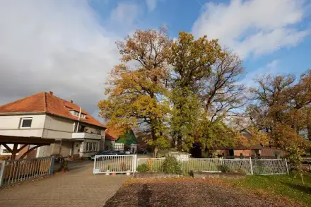 Foto von Pflegedienst Up de Heid GmbH