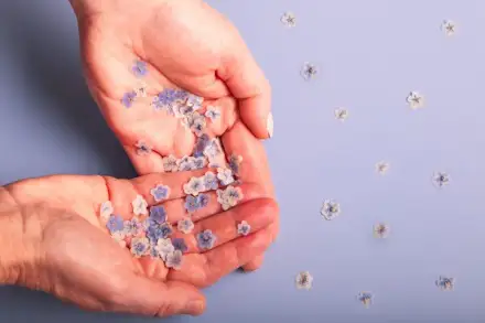 Foto von Pflegedienst VergissMeinNicht GbR